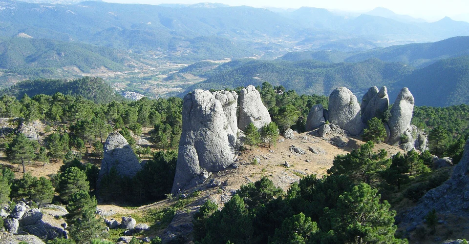 Los Picarazos