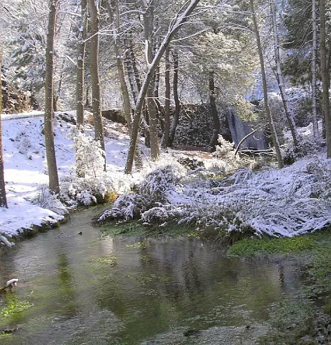 Pantano de Arroyo Frío